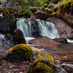 Scenic view of waterfall in forest