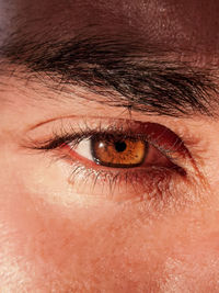 Glowing brown male eye with clean caucasian skin