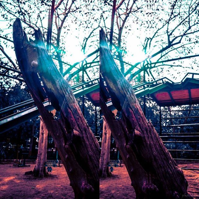 tree, wood - material, built structure, low angle view, bare tree, sky, architecture, tree trunk, branch, old, outdoors, metal, no people, abandoned, day, sunlight, rusty, clear sky, damaged, strength