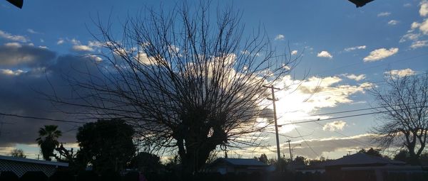 Low angle view of bare trees against sky