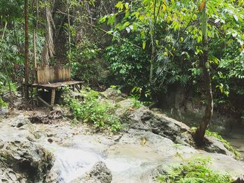 Scenic view of waterfall in forest