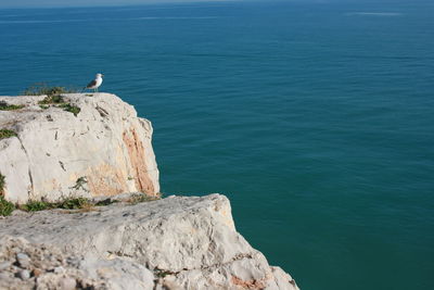 Scenic view of sea by cliff