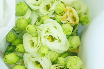 High angle view of chopped vegetables in plate