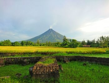 Scenic view of green landscape by mt mayon against sky