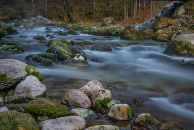 River flowing through rocks in forest