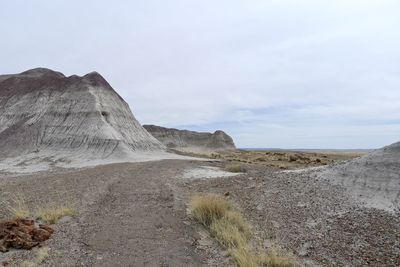 Winding road in the painted desert