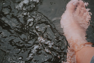 Low section of person on wet shore