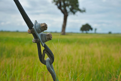 Close-up of chain on field