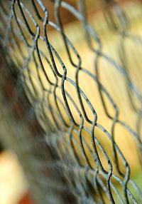 Close-up of fence