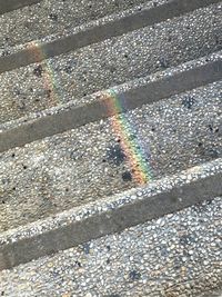 Multi colored light