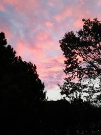 Low angle view of silhouette trees against sky during sunset