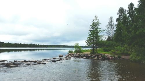 Reflection of trees in lake