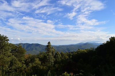 Scenic view of forest against sky