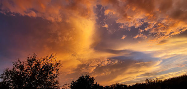 Low angle view of silhouette trees against dramatic sky