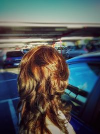 Rear view of a dog in car
