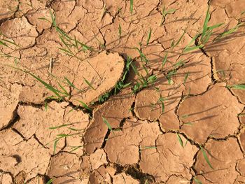 Full frame shot of cracked land