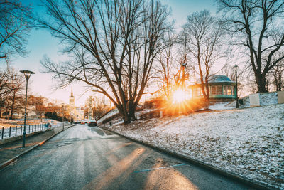 Road amidst bare trees during winter