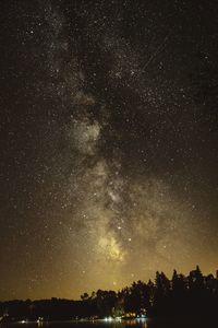 Low angle view of silhouette trees against sky at night