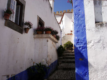 Low angle view of potted plants on building