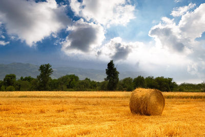 Hay bales on field against sky