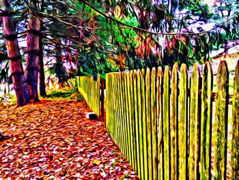 Autumnal leaves on tree trunk