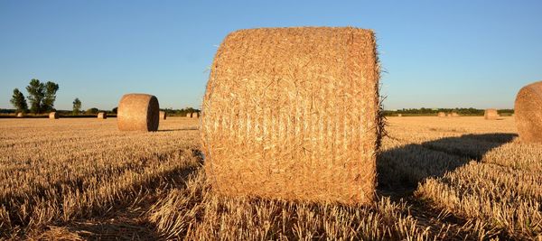 Straw bales