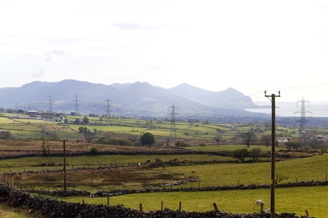 SCENIC VIEW OF FARM AGAINST SKY