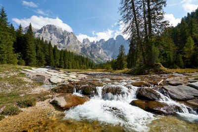 Scenic view of river stream amidst trees against sky