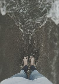 Low section of person standing in water