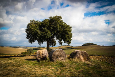 Hay bales on field against sky