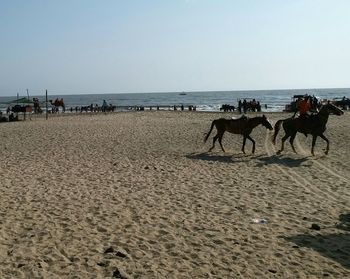 People on beach against clear sky