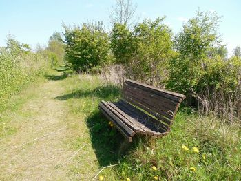 Empty bench on grass