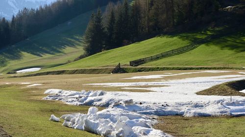 Scenic view of land and trees on field