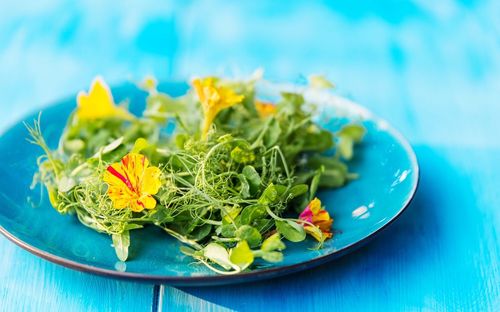 Close-up of vegetables in plate on table
