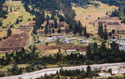 High angle view of trees and buildings