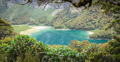 Beautiful turquoise alpine lake framed by tree branch and foliage.  routeburn track, new zealand