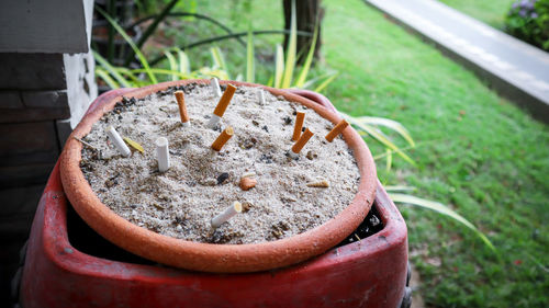 High angle view of cigarette in yard