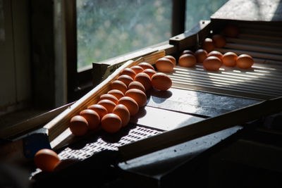 Many eggs on egg sorter machine