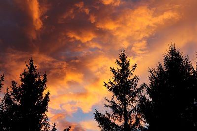 Low angle view of trees against cloudy sky