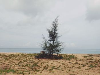 Scenic view of calm sea against sky