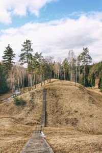 Footpath amidst trees on field against sky