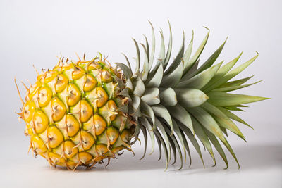 Close-up of fruit against white background