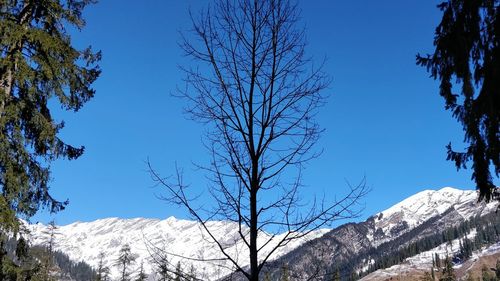 Low angle view of snowcapped mountains against clear blue sky