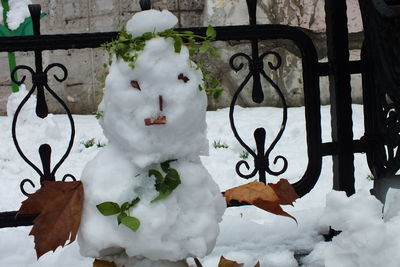 Close-up of snow on plants during winter