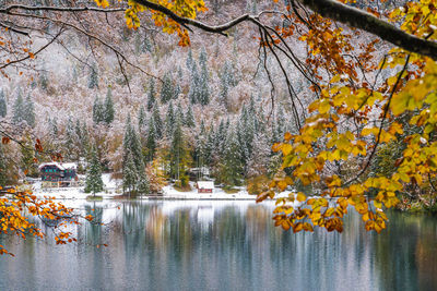 Reflection of trees in lake during autumn