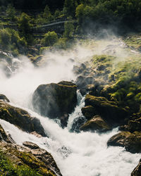 Scenic view of waterfall in forest