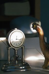 Close-up of a bird on table