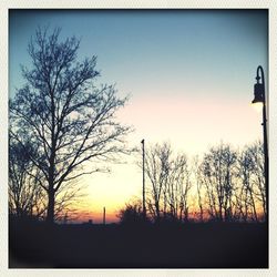 Silhouette of trees at sunset