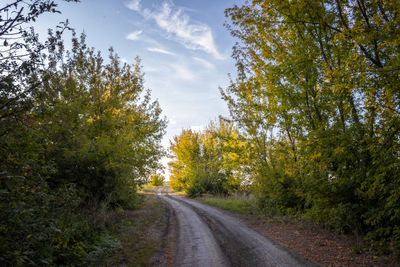 Road amidst trees against sky