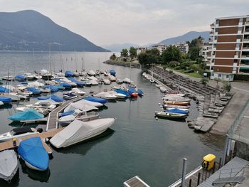 High angle view of boats moored in harbor